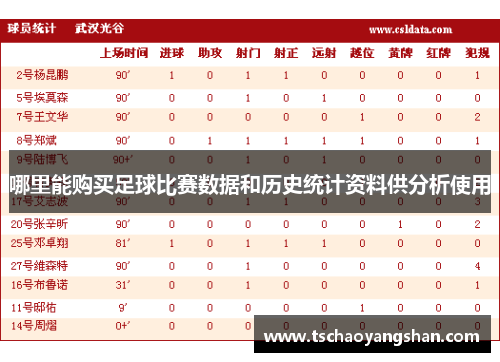 哪里能购买足球比赛数据和历史统计资料供分析使用
